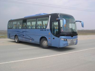 DD6119C50型客车