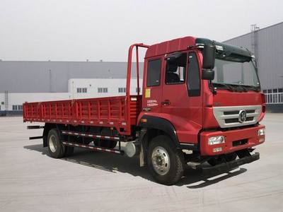 ZZ1121G521GD1型载货汽车图片