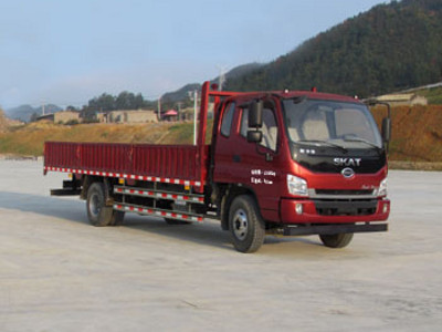 LFJ1130G2型载货汽车图片