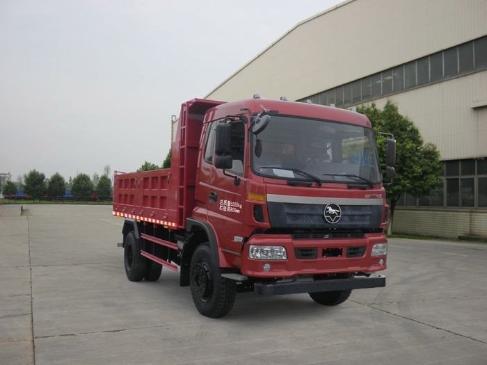 CNJ3060RPC38M型自卸汽车
