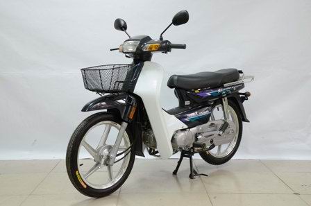 DY100-M型两轮摩托车图片