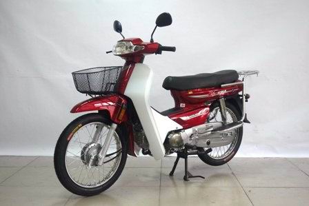 DY100-M型两轮摩托车图片