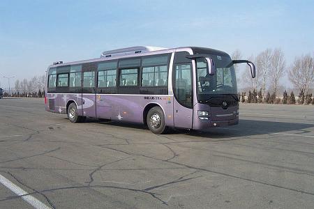 DD6129K65N型客车
