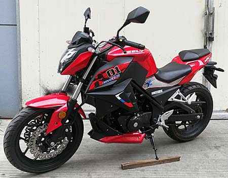 JL300-5D型两轮摩托车图片