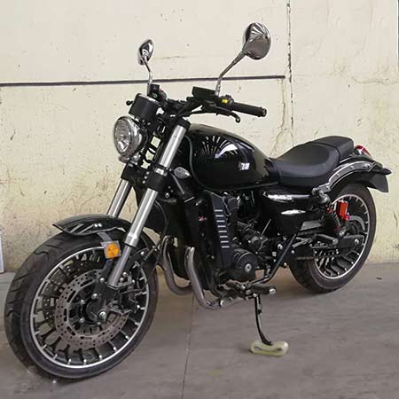 FL400-2D型两轮摩托车图片