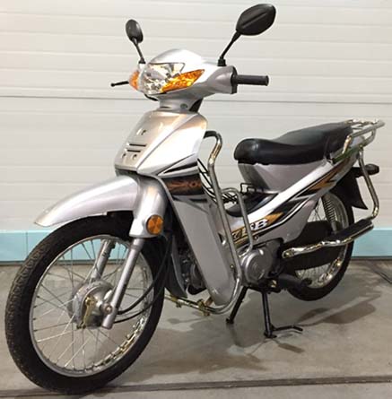 ZS110-9E型两轮摩托车图片