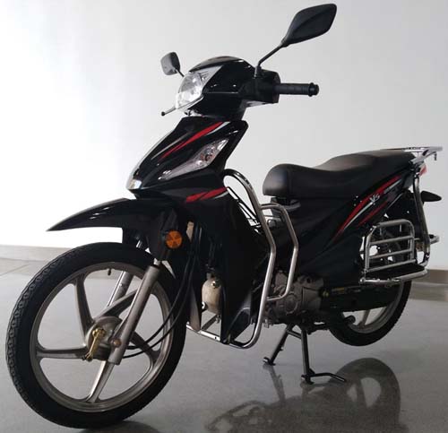 ZS110-9P型两轮摩托车图片