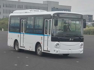 贵州电动轻型客车