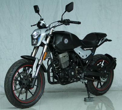 XY250-11C型两轮摩托车图片