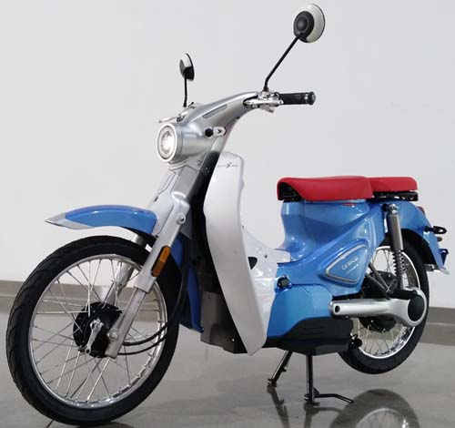 ZS1000D-6型电动两轮摩托车图片