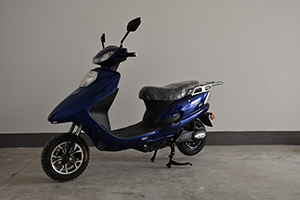 XSJ1000DT-2型电动两轮摩托车图片