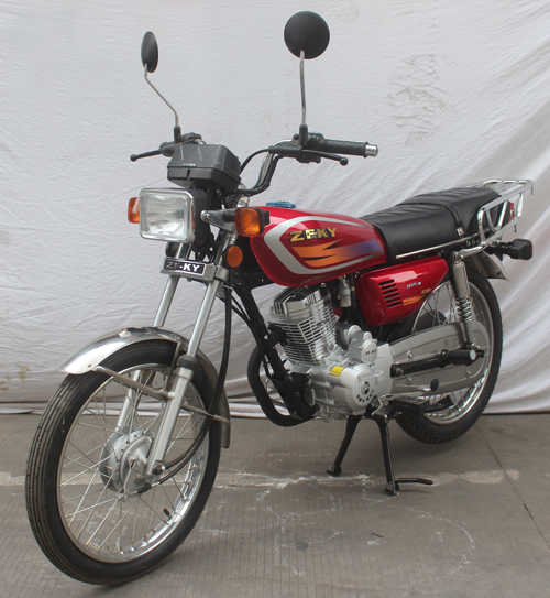 ZF125-10型两轮摩托车图片