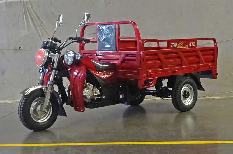 WX175ZH-20D型正三轮摩托车图片