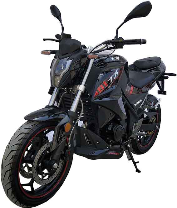 DLS200-3D型两轮摩托车图片