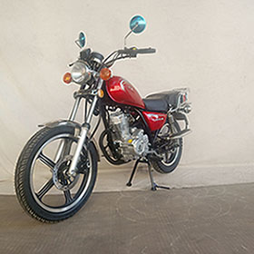 DB125-2D型两轮摩托车图片