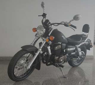 QJ250-3C型两轮摩托车图片