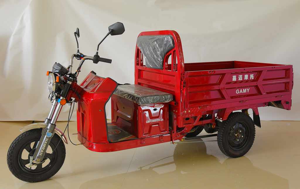 GM1200DZH-2A型电动正三轮摩托车图片