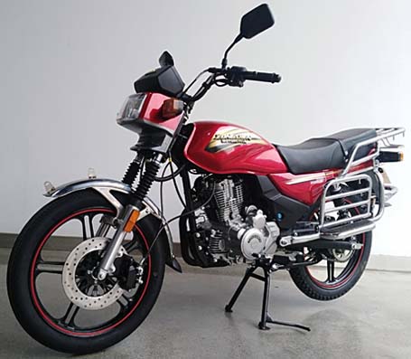 ZS200-10型两轮摩托车图片