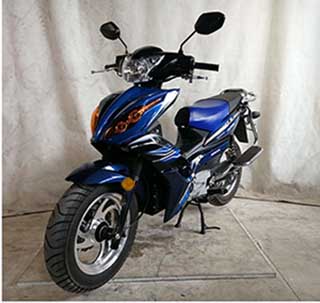 DB2000D型电动两轮摩托车图片