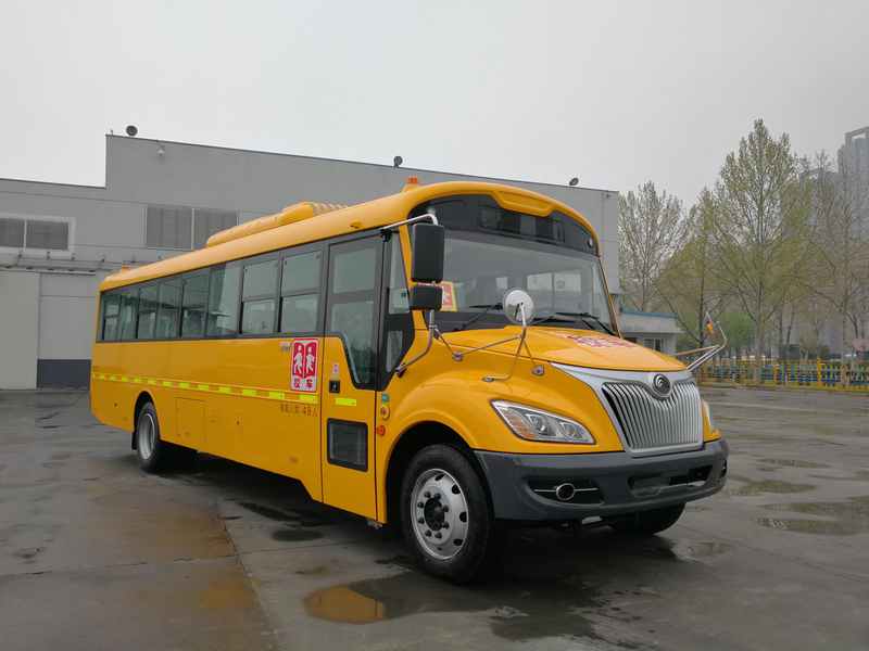 ZK6995DX61型中小学生专用校车