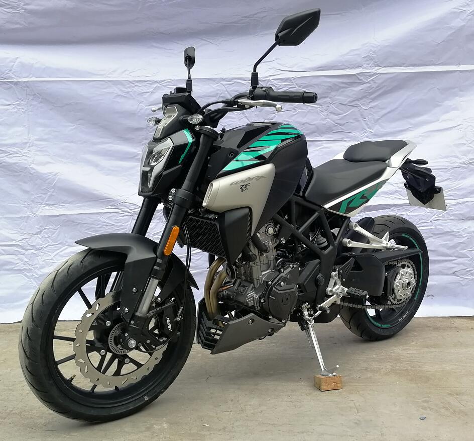 ZF300型两轮摩托车图片