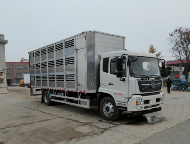 腾宇专用汽车HNY5180XCQD6型雏禽运输车