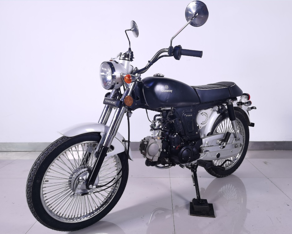 XY125-3D型两轮摩托车图片