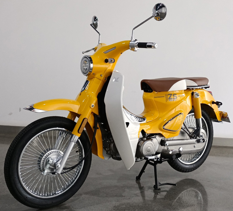 ZS110-13C型两轮摩托车图片