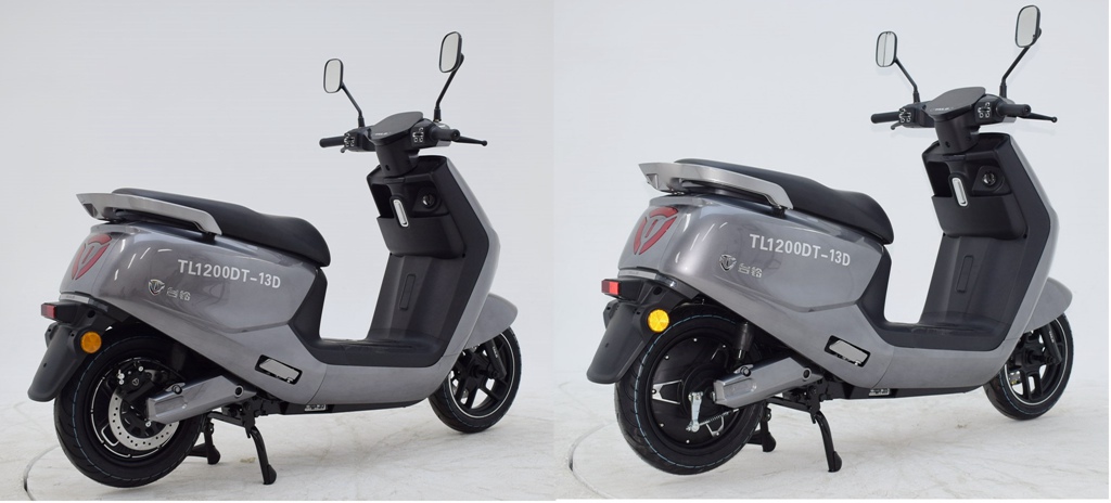TL1200DT-13D型电动两轮摩托车图片