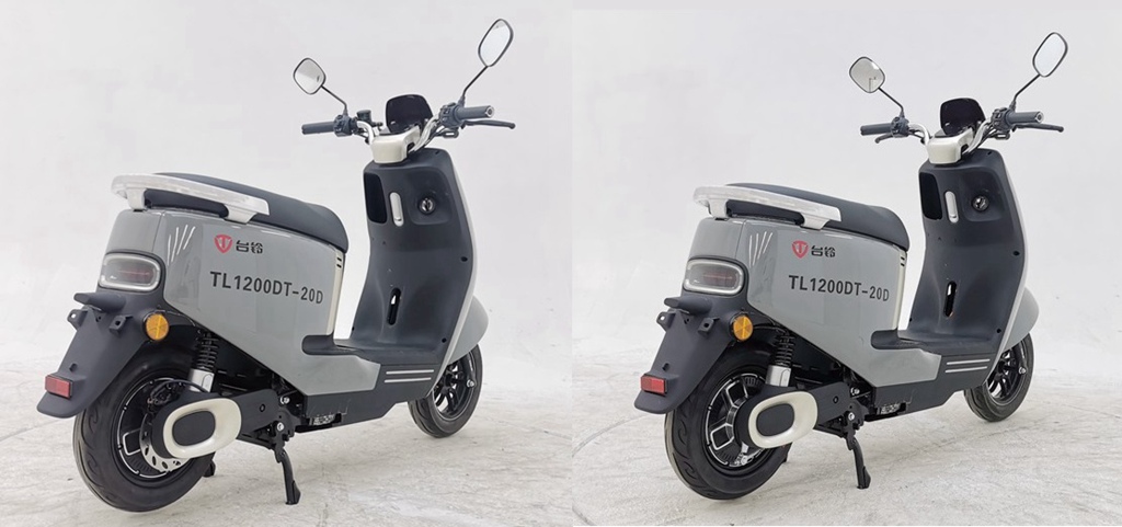TL1200DT-20D型电动两轮摩托车图片