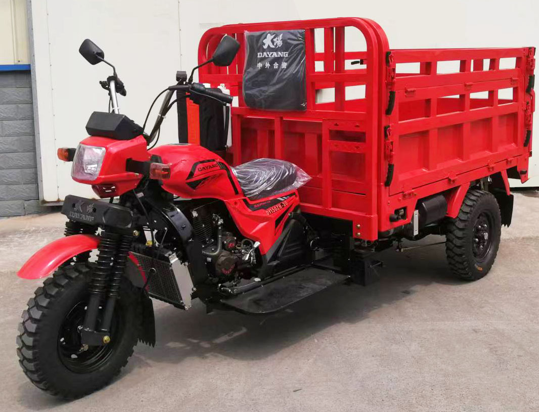 DY150ZH-3D型正三轮摩托车图片