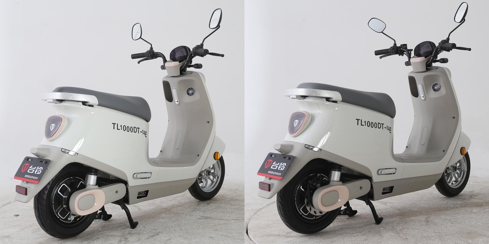 TL1000DT-14E型电动两轮摩托车图片