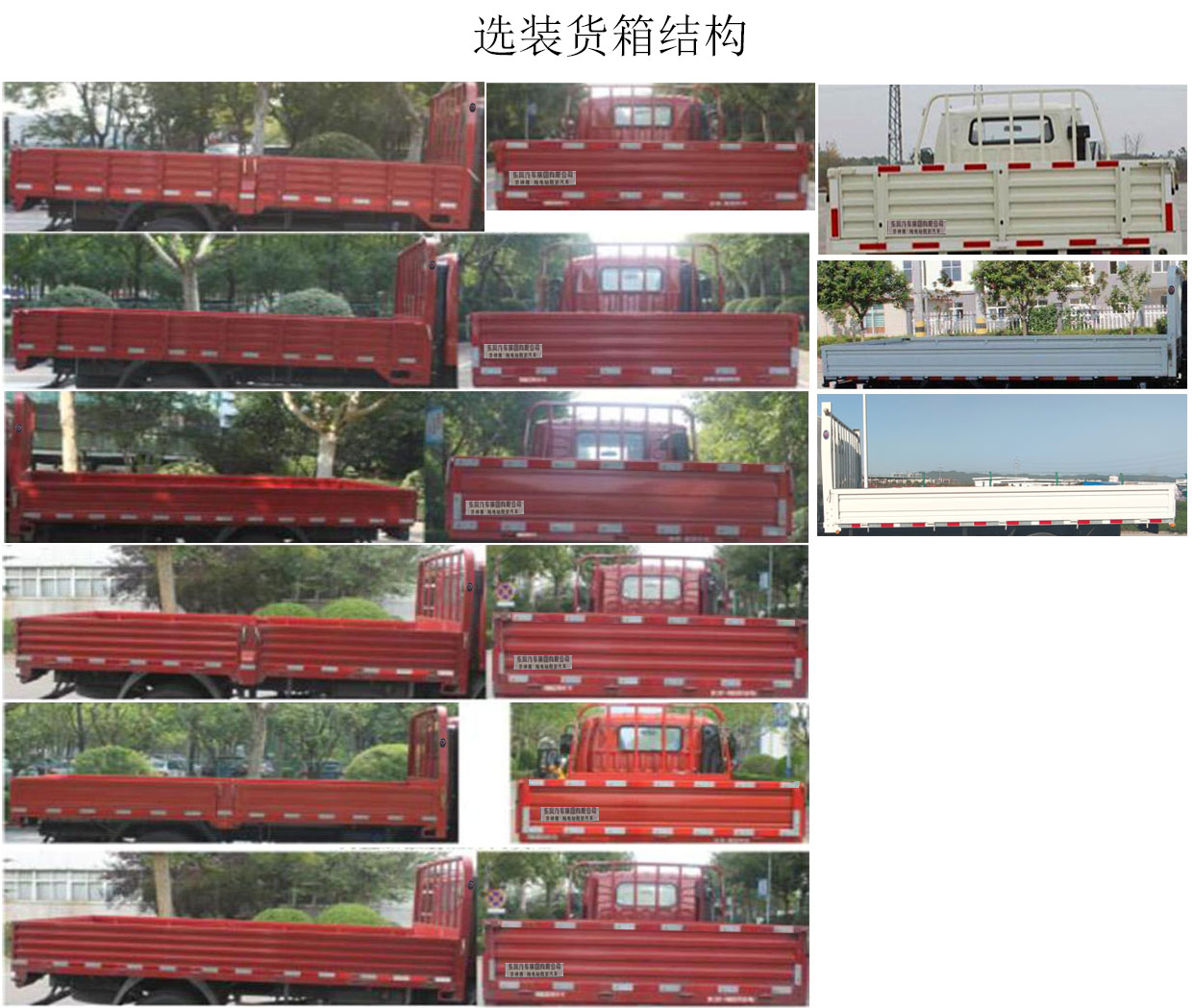 DFD1040TLBEV1型纯电动载货汽车图片