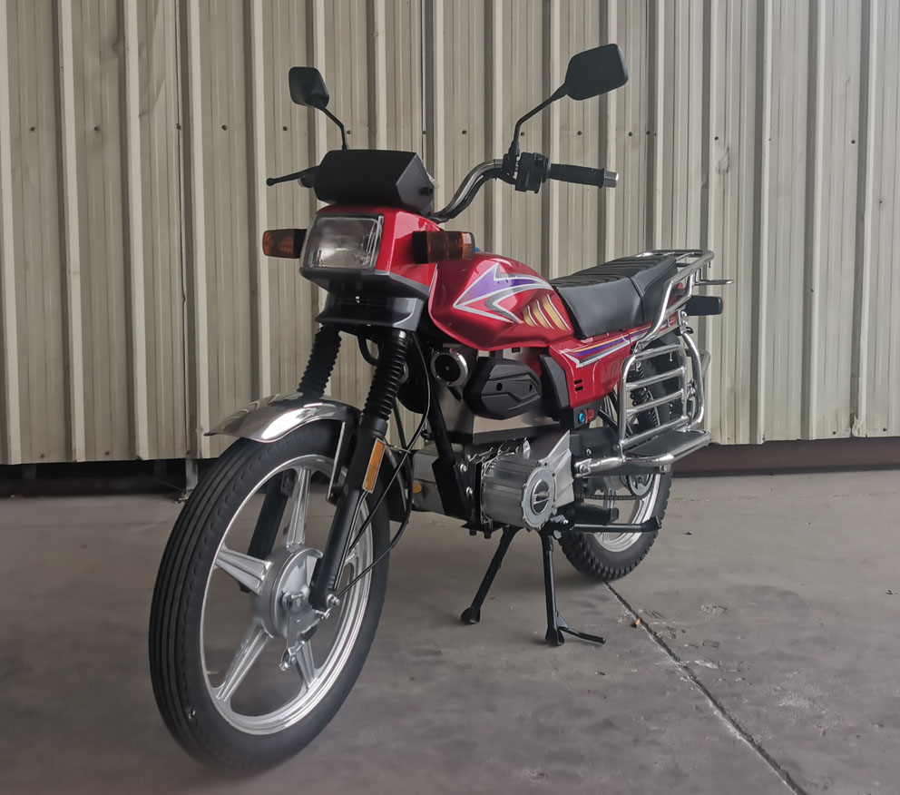 ZH1800D型电动两轮摩托车图片