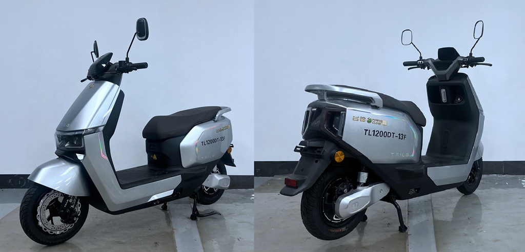 TL1200DT-13F型电动两轮摩托车图片