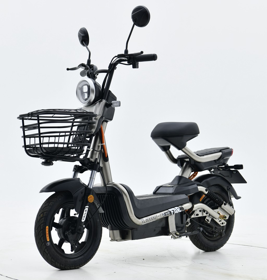 TL600DQT-T型电动两轮轻便摩托车图片