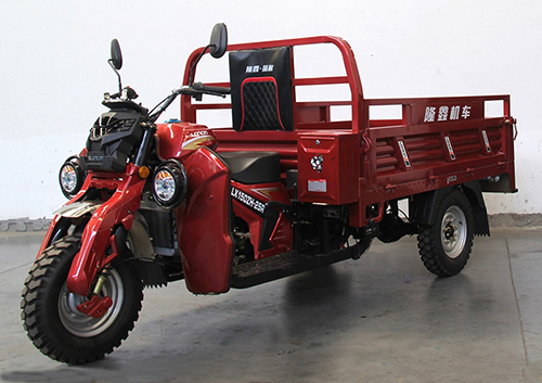 LX150ZH-25R型正三轮摩托车图片