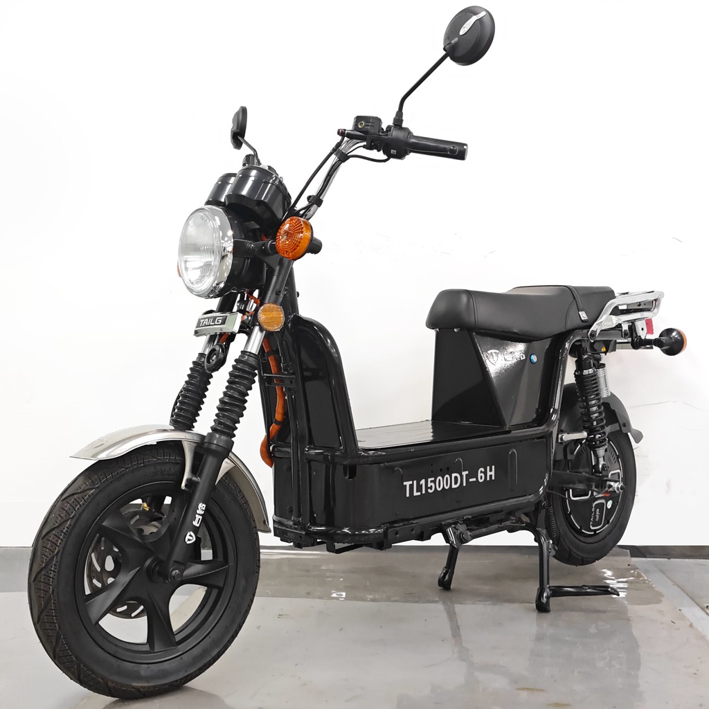 TL1500DT-6H型电动两轮摩托车图片