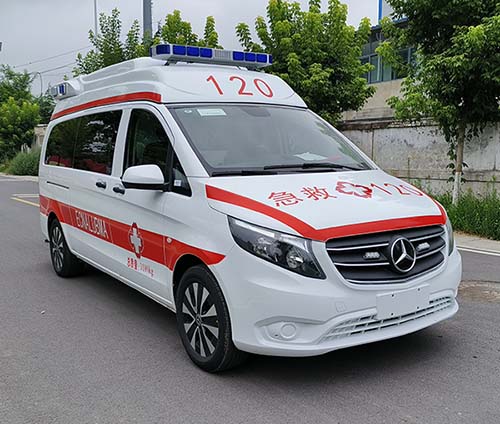 莱茵旅行者救护车图片