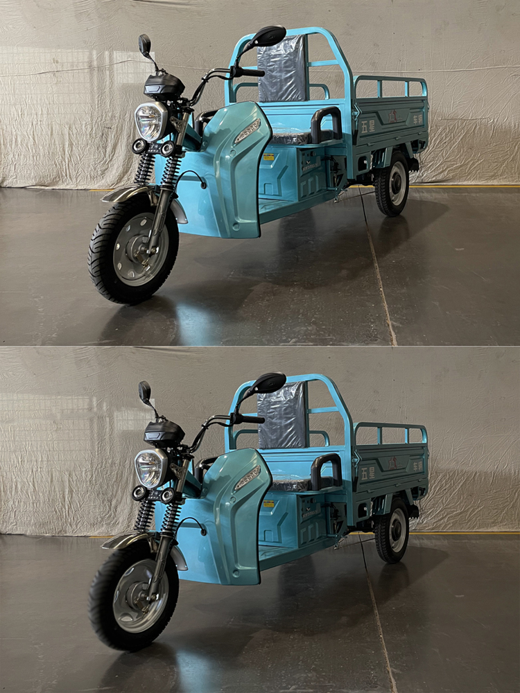 WX1000DZH-7型电动正三轮摩托车图片