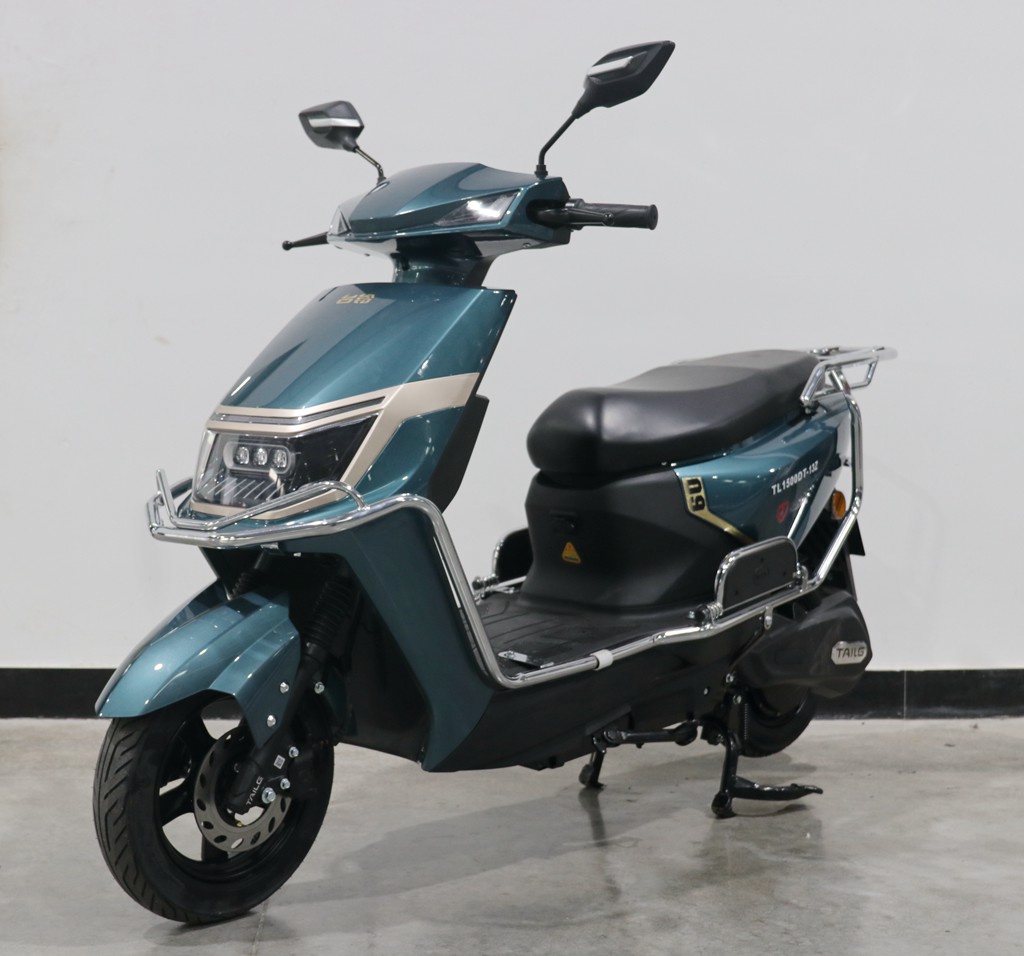 TL1500DT-13Z型电动两轮摩托车图片